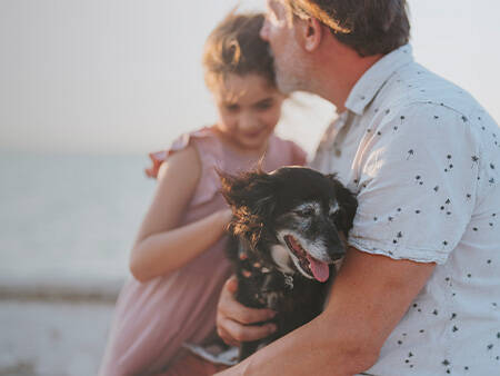 Vacances avec votre chien Tohapi